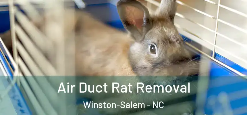  Air Duct Rat Removal Winston-Salem - NC