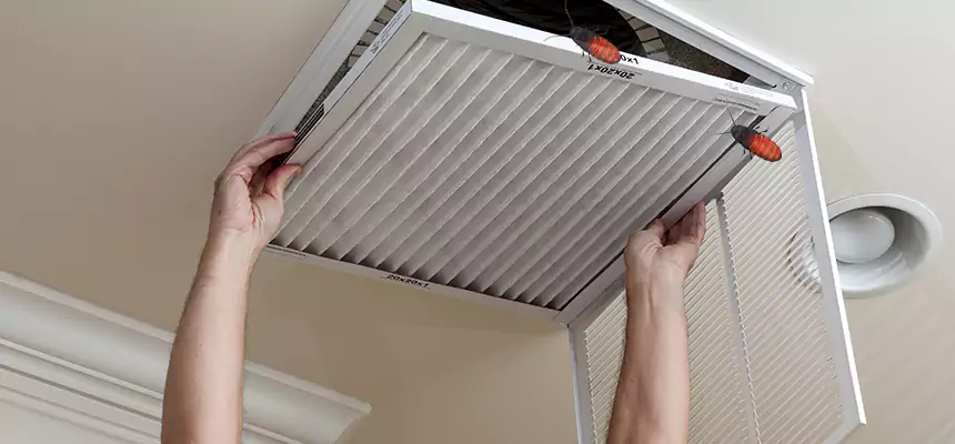 Preventive Cockroach-Proofing for Ducts in Winston-Salem
