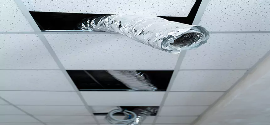 Affordable HVAC Sanitizing After Pest Removal in Winston-Salem