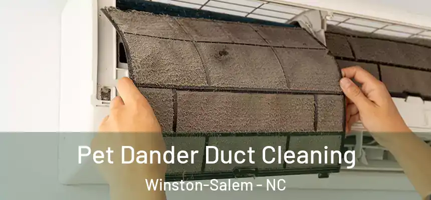 Pet Dander Duct Cleaning Winston-Salem - NC