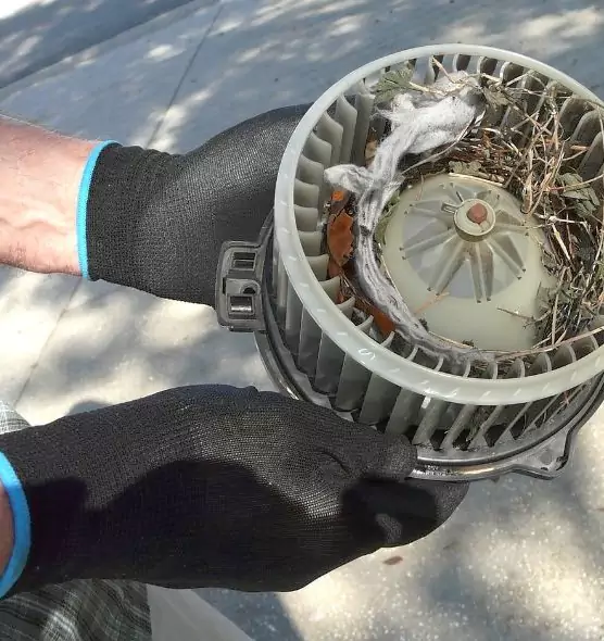 About Air Duct Rat Removal in Winston-Salem, NC